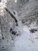 11.27.05 Nesmith Point 060